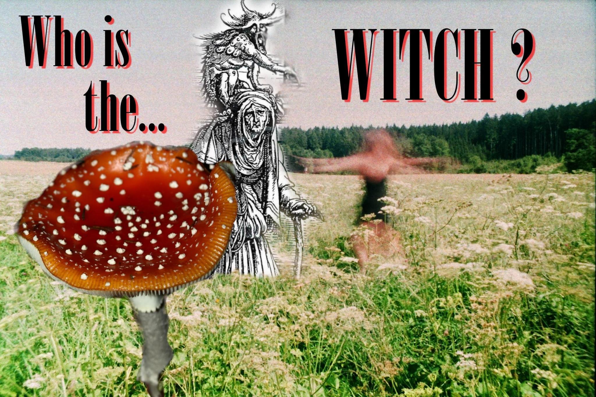 Illustration zum Lesezirkel „Who is the Witch? – Hexengeschichte, Mythologie und widerständige Praxis“, der bis einschließlich Oktober 2025 jeden letzten Mittwoch im Monat um 19 Uhr im glitch Buchladen München stattfindet.